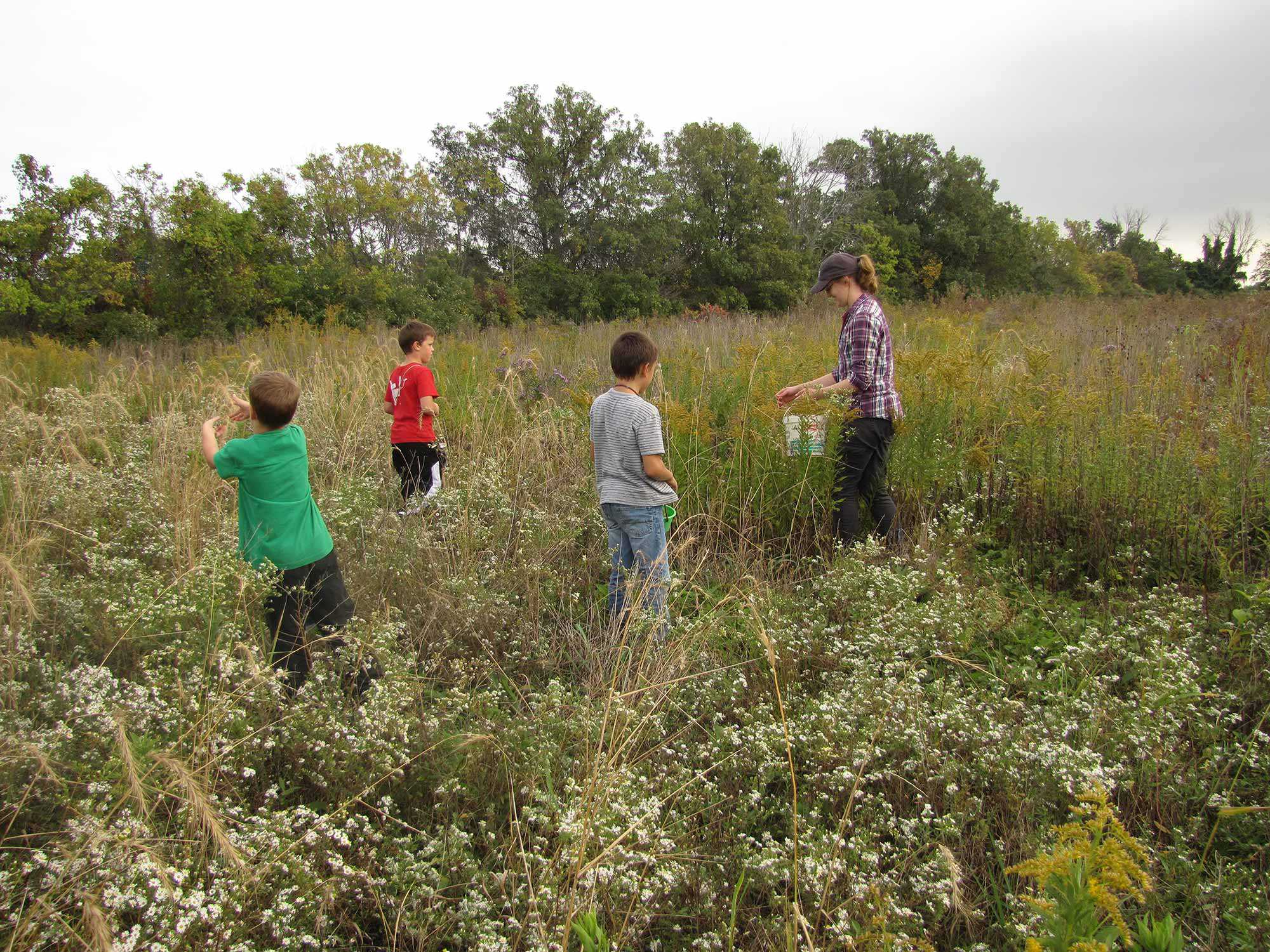 Children from Pelee Island Pubic School helping to collect seeds for restoration projects